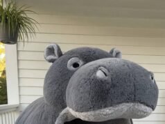 Hippo Lounger Pods: Black, Purple, Orange & Gray Color Guide Hippo Lounging Pod