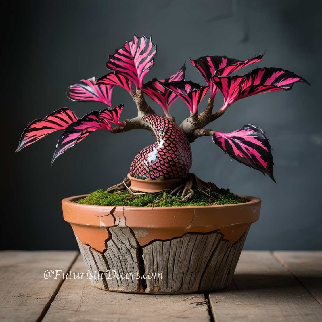 Stunning Mermaid Plant