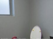 Chicken Shaped Toilets: How to Install One in Your Home Chicken Shaped Toilets