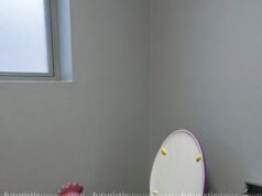 Chicken Shaped Toilets: How to Install One in Your Home Chicken Shaped Toilets