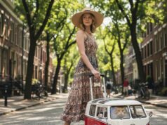 VW Bus Pet Trolley Bag | Must-have Carrier for Volkswagen Lovers VW Bus Pet Trolley Bag