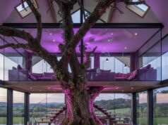 Crafting a Cozy Retreat: Your Dream Indoor Tree House Loft Indoor Tree House Loft