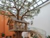 Indoor Treehouse Office – Build Your Own Elevated Workspace indoor treehouse office