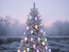Pastel Skull Christmas Tree ideas for Kawaii-Goth Holiday Lovers skull pastel Christmas tree