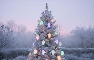 Pastel Skull Christmas Tree ideas for Kawaii-Goth Holiday Lovers skull pastel Christmas tree