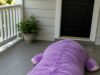 Fluffy Hippo Sleeping Bags – Sizes, Prices, and Where to Buy Fluffy Hippo Sleeping Bags