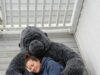 Gorilla Sleeping Bags: Extra Large Zippered Plush Sleeping Sack Gorilla Sleeping Bags