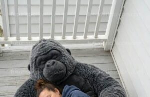 Gorilla Sleeping Bags: Extra Large Zippered Plush Sleeping Sack Gorilla Sleeping Bags