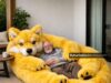 Giant Wolf Loungers | Colors, Fur Textures & Style Variations wolf-shaped lounger