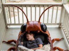 Cockroach Sleeping Bag | From Nightmare to Cozy Night’s Sleep Cockroach Sleeping Bag