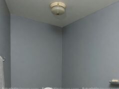 Porcelain Caterpillar Toilet: Cute, Durable & Ready to Install Today caterpillar porcelain toilets