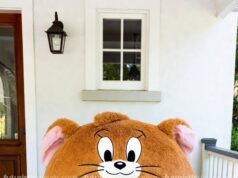 Tom and Jerry Lounging Pods: Best Novelty Seating Ideas in 2026 Tom and Jerry Lounging Pods