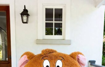 Tom and Jerry Lounging Pods: Best Novelty Seating Ideas in 2026 Tom and Jerry Lounging Pods