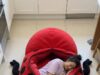 Beetle Sleeping Bags | Top 4 Colors & Styles to Buy Now Beetle Sleeping Bags