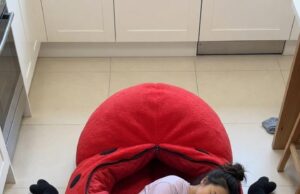 Beetle Sleeping Bags | Top 4 Colors & Styles to Buy Now Beetle Sleeping Bags