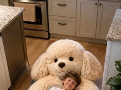 Poodle Sleeping Bags: Softness, Warmth & Real-Life Experience Cute Poodle Sleeping Bags