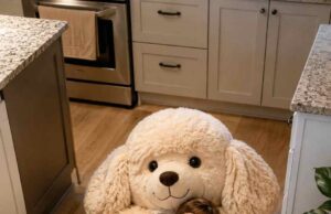 Poodle Sleeping Bags: Softness, Warmth & Real-Life Experience Cute Poodle Sleeping Bags