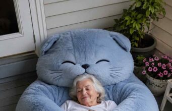 Scottish Fold sleeping bag | Soft, high-quality & irresistibly cute Scottish Fold sleeping bag