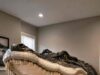 Alligator Shaped Bed Pros, Cons & Who It’s Best Suited For Giant Alligator Shaped Bed