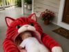 American Shorthair sleeping bags: Perfect blend of cute & cozy American Shorthair sleeping bags