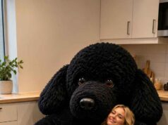 Poodle Shaped Bean Bag: Colors, Sizes, and Prices Poodle Shaped Bean Bag