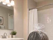 Spider-Shaped Toilet | Pros and Cons of a Tarantula Seat Tarantula Spider Toilets