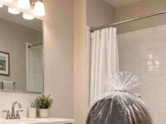 Spider-Shaped Toilet | Pros and Cons of a Tarantula Seat Tarantula Spider Toilets